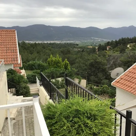 Vakantiehuis Pine Valley 7 *